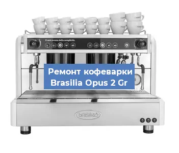 Замена прокладок на кофемашине Brasilia Opus 2 Gr в Челябинске